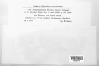 Image Associated With the Occurence
